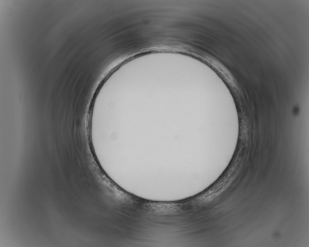X0000096130856200801180828