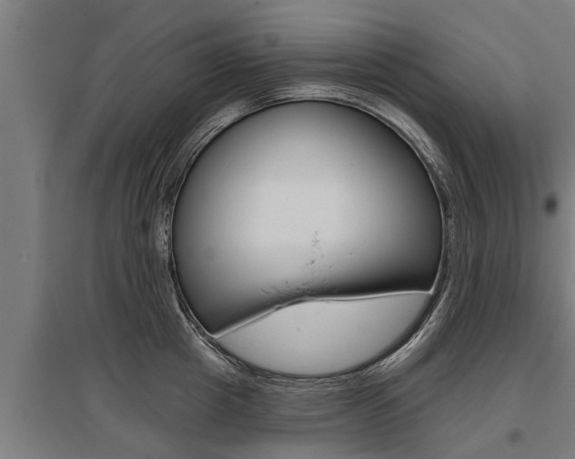 X0000096130857200801180828