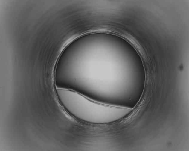 X0000096130858200801180828