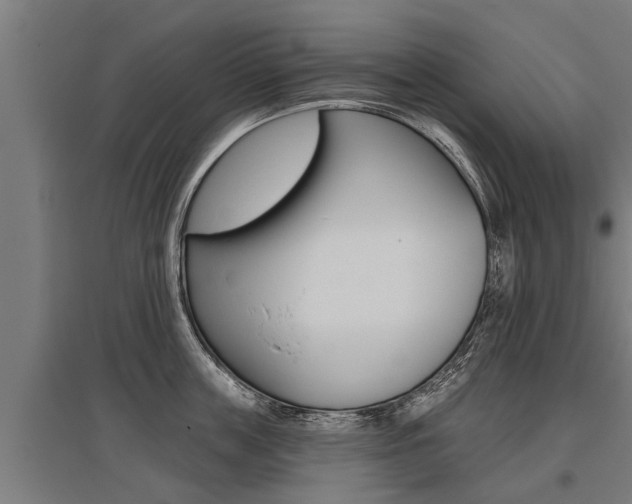 X0000096130859200801180828