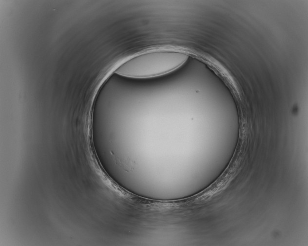 X0000096130860200801180828