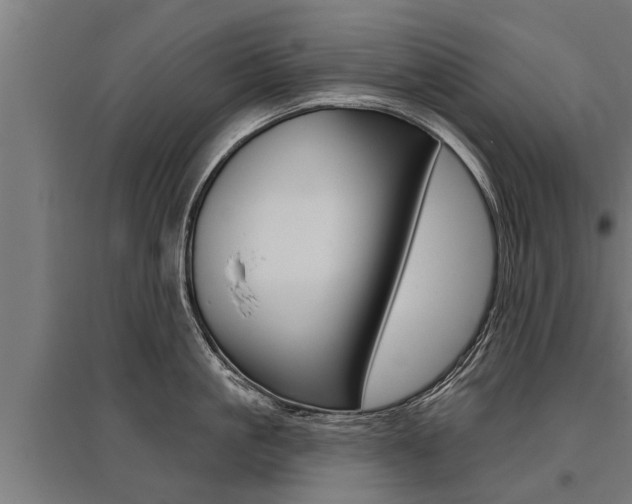 X0000096130861200801180828