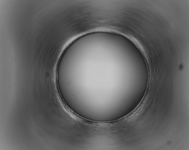 X0000096130862200801180828