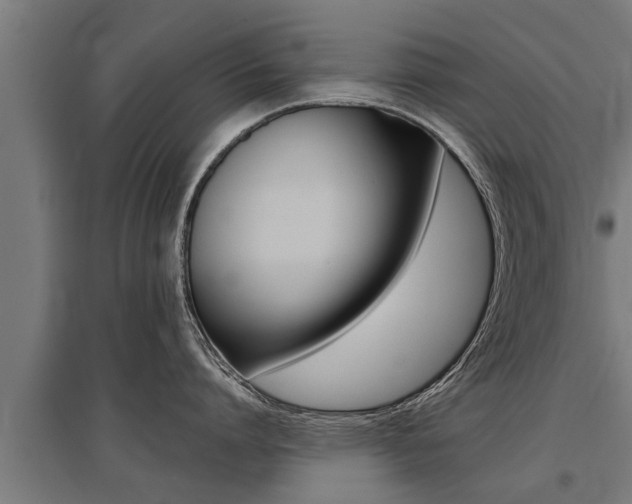 X0000096130864200801180828