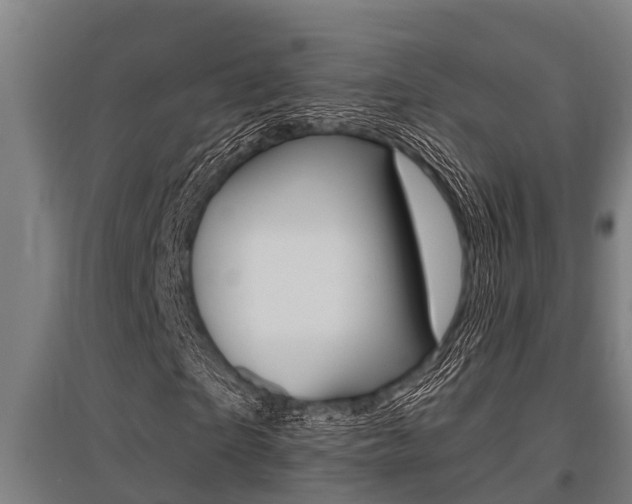 X0000096130865200801180827