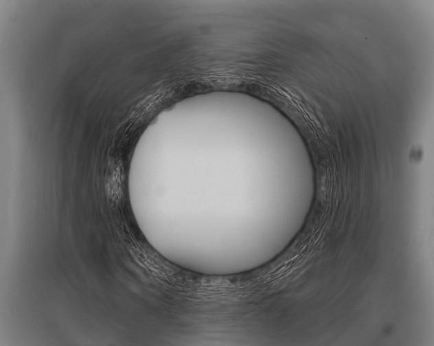 X0000096130866200801180827