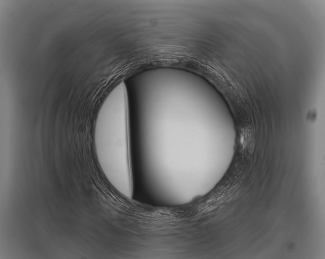 X0000096130867200801180827