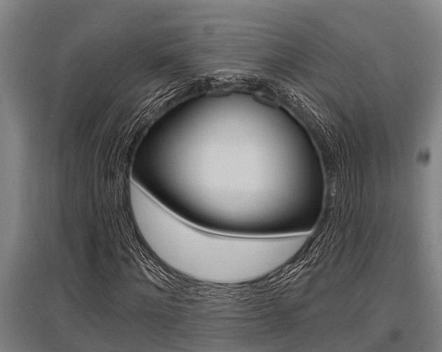 X0000096130868200801180827