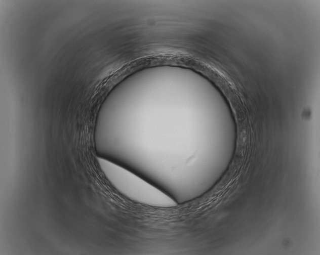 X0000096130869200801180827