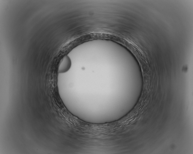 X0000096130870200801180827