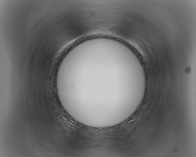 X0000096130872200801180827