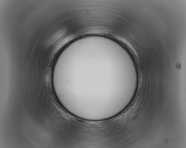 X0000096130874200801180827