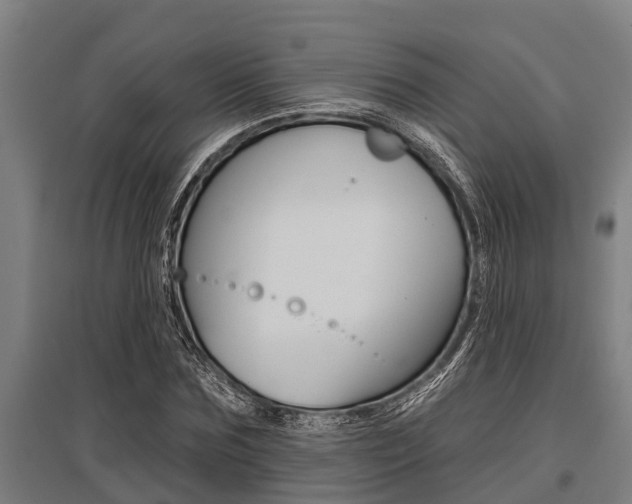 X0000096130875200801180827