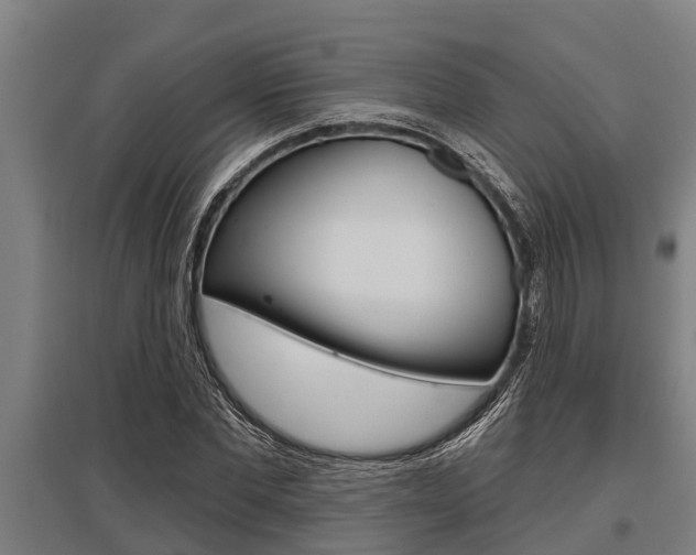 X0000096130877200801180827