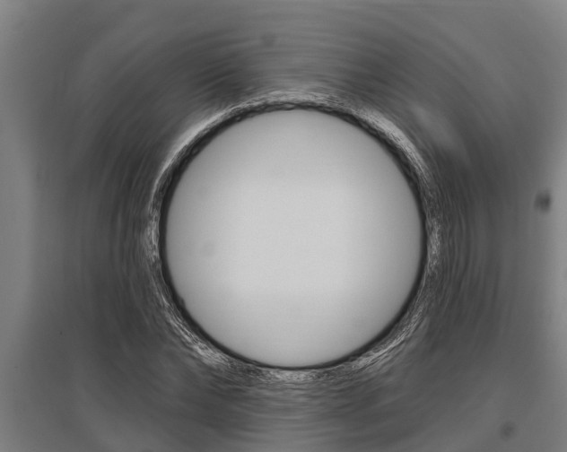 X0000096130878200801180827