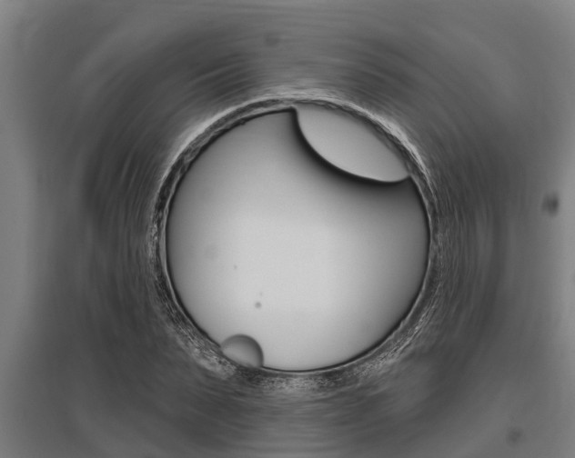 X0000096130879200801180827