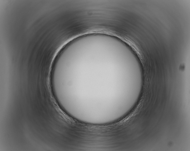 X0000096130880200801180827