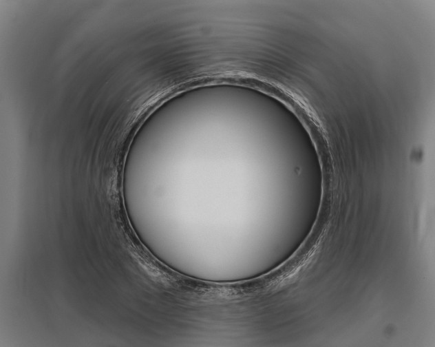 X0000096130881200801180827