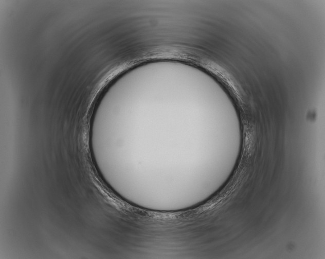 X0000096130882200801180827