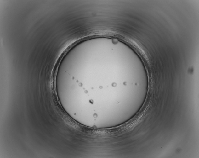 X0000096130883200801180827