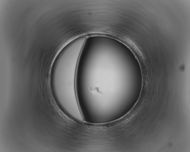 X0000096130884200801180827