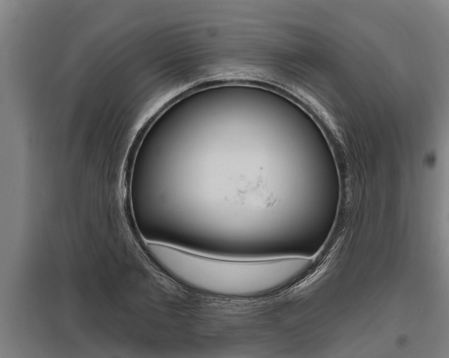 X0000096130885200801180827