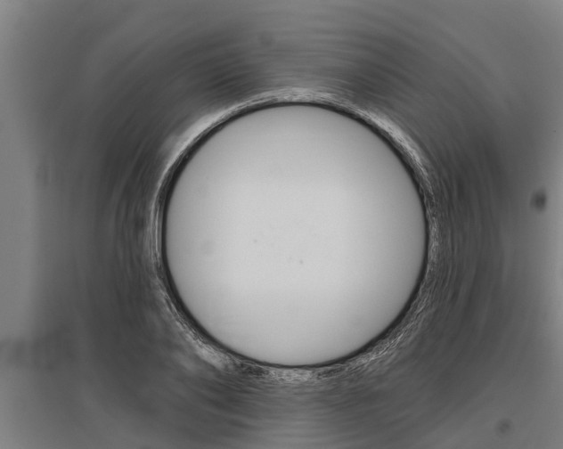 X0000096130886200801180827