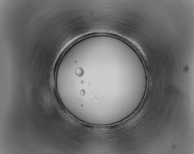 X0000096130887200801180827