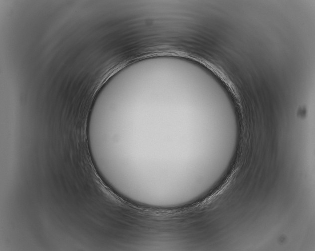 X0000096130889200801180827