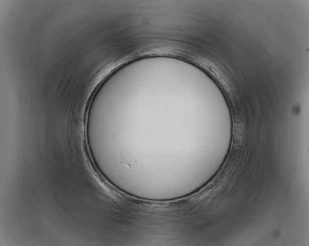 X0000096130890200801180827