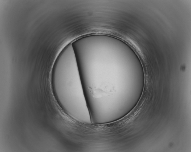 X0000096130891200801180827