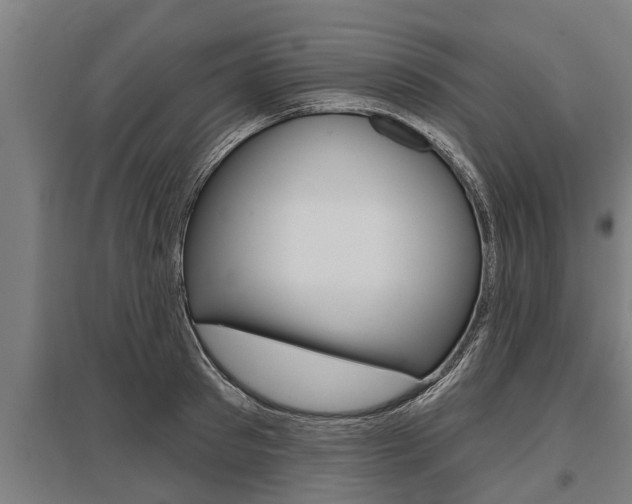 X0000096130897200801180827