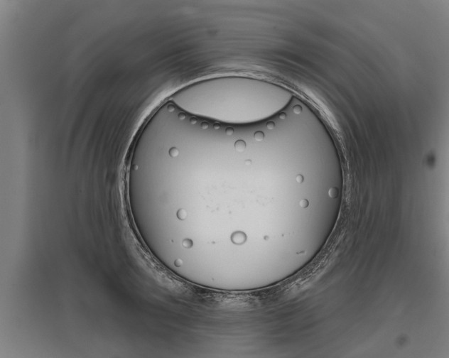 X0000096130899200801180827