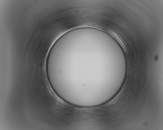 X0000096130900200801180827
