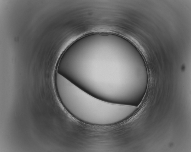 X0000096130901200801180827