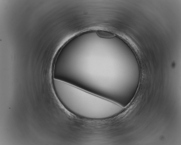 X0000096130902200801180827