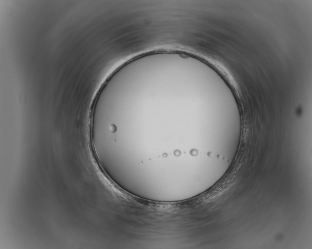 X0000096130903200801180827
