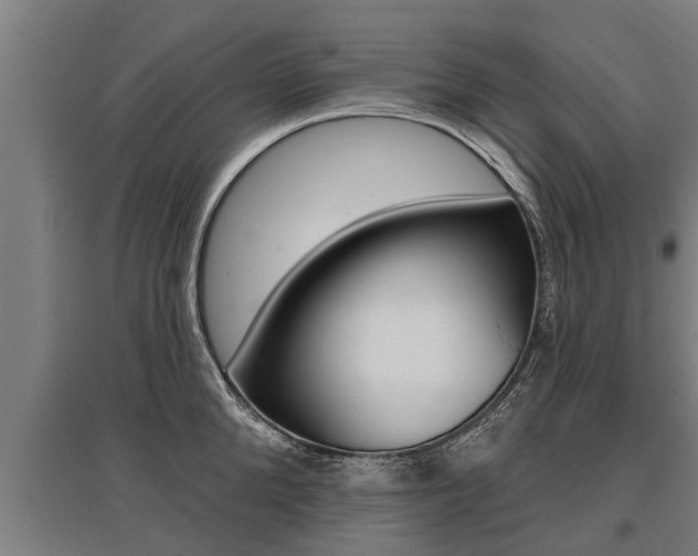 X0000096130904200801180827