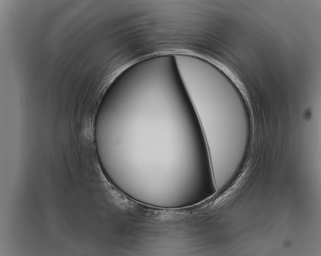 X0000096130905200801180827