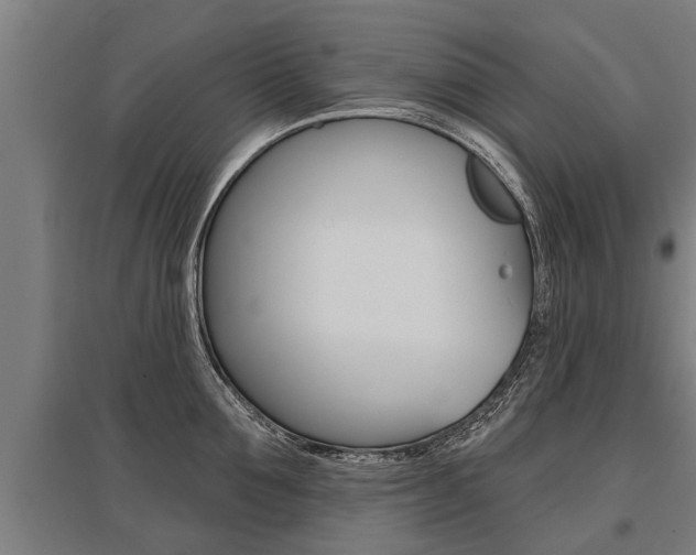X0000096130907200801180826