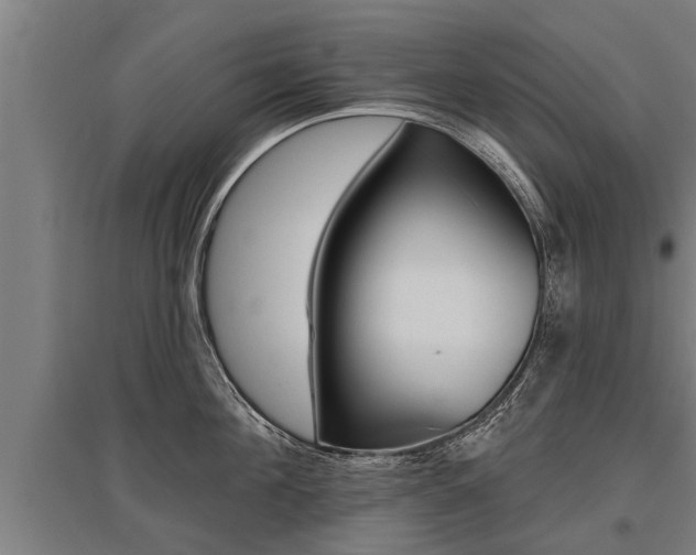 X0000096130908200801180826