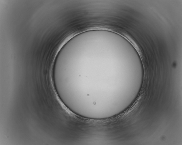 X0000096130909200801180826