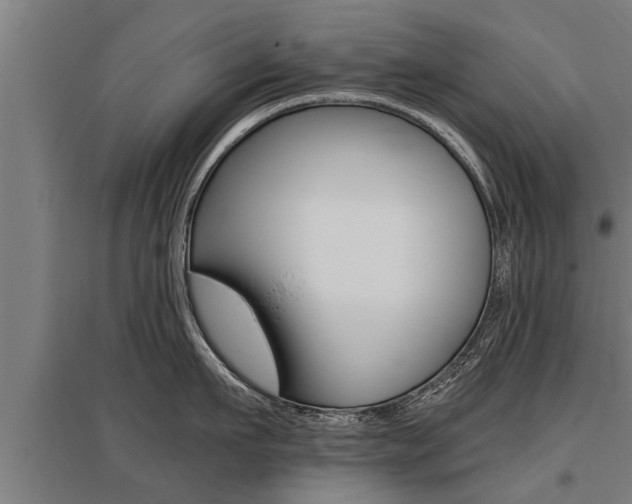X0000096130911200801180826