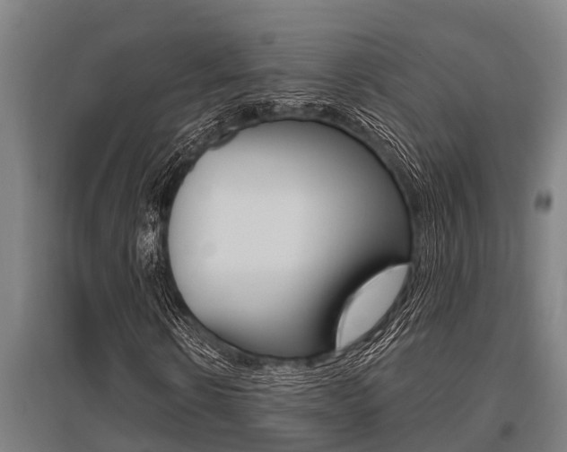 X0000096130914200801180826