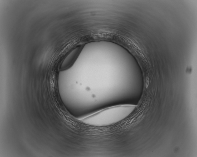 X0000096130915200801180826