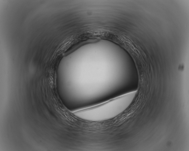 X0000096130916200801180826