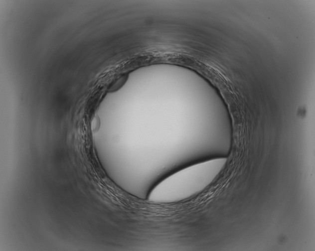 X0000096130917200801180826
