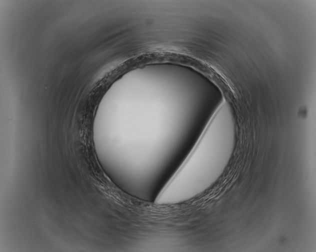 X0000096130919200801180826