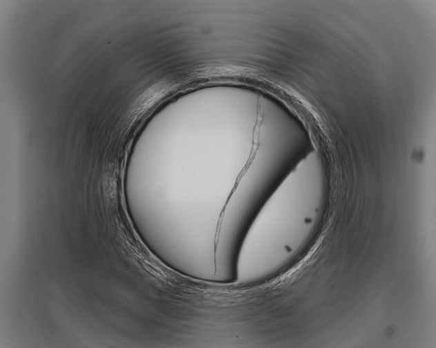X0000096130921200801180826