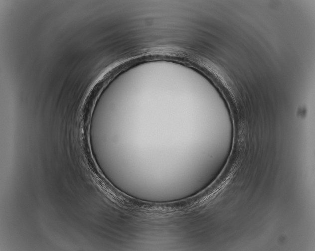 X0000096130923200801180826
